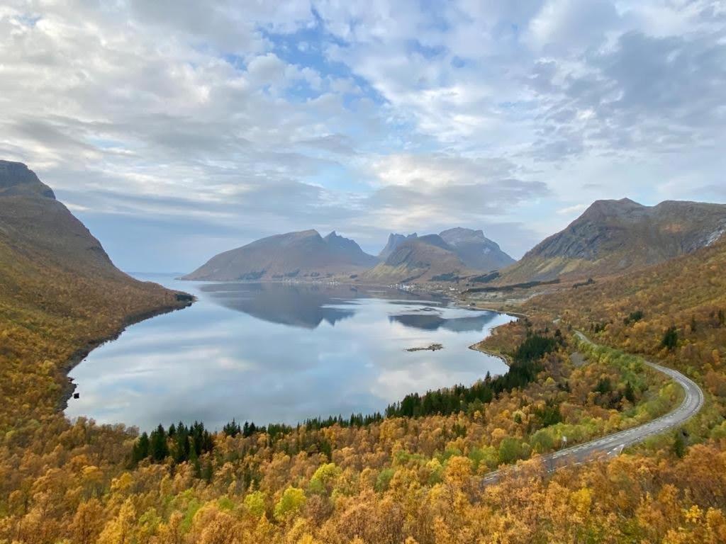 Ferrytale, Cozy, Spacious House On Senja Gryllefjord Esterno foto