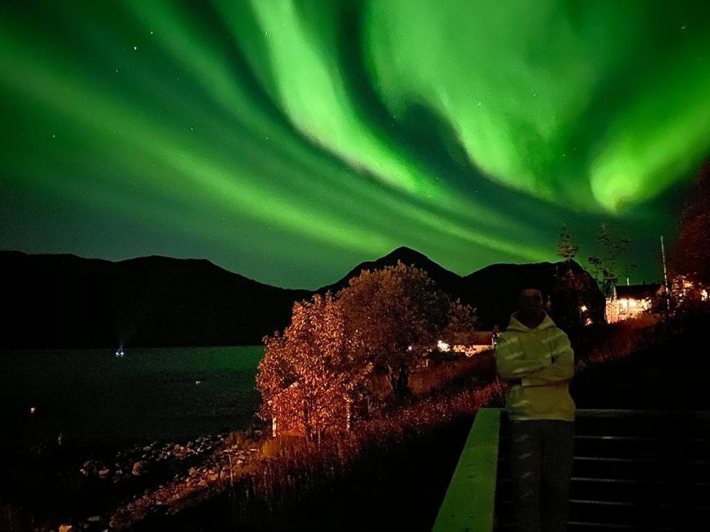 Ferrytale, Cozy, Spacious House On Senja Gryllefjord Esterno foto