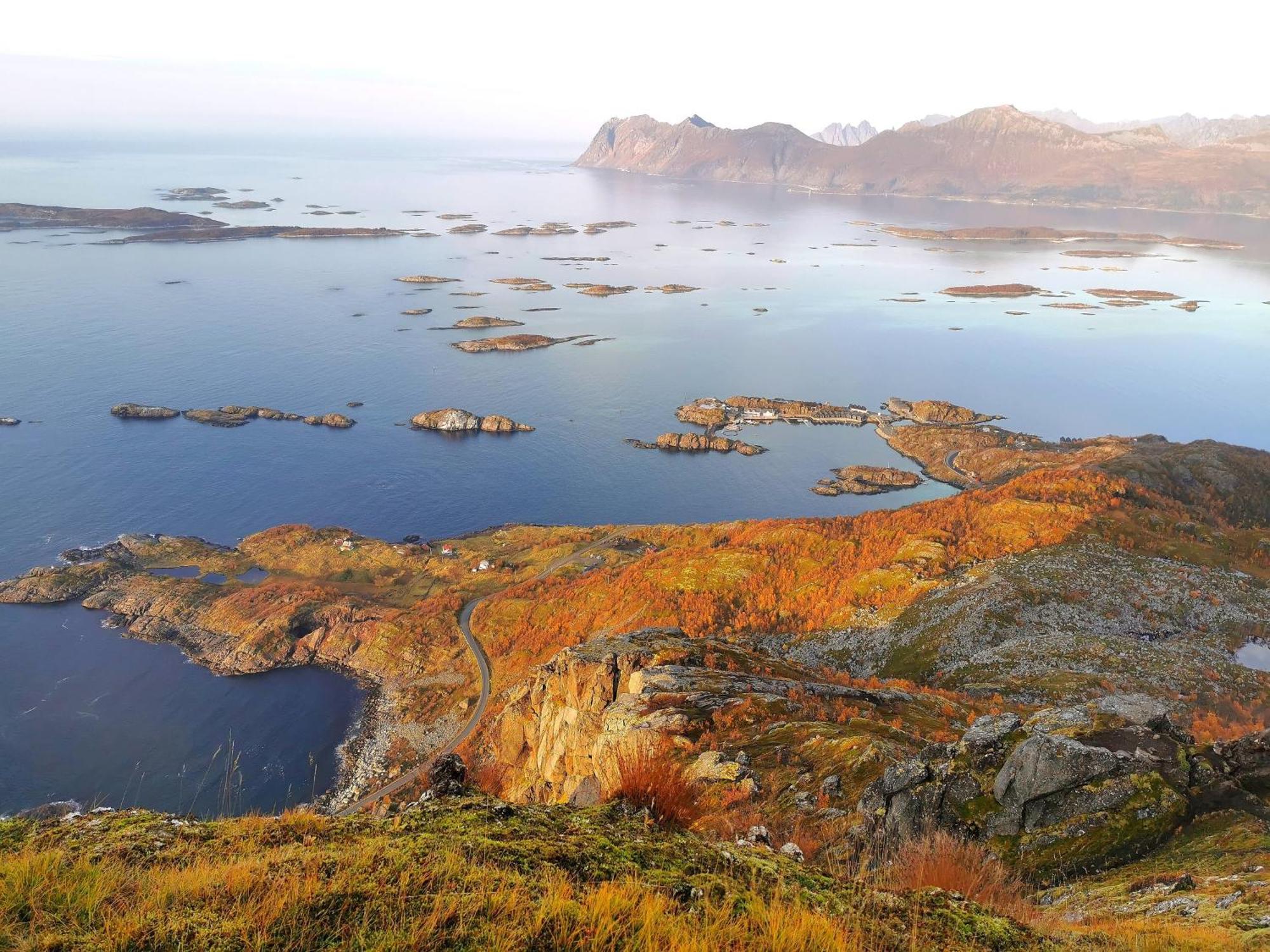 Ferrytale, Cozy, Spacious House On Senja Gryllefjord Esterno foto