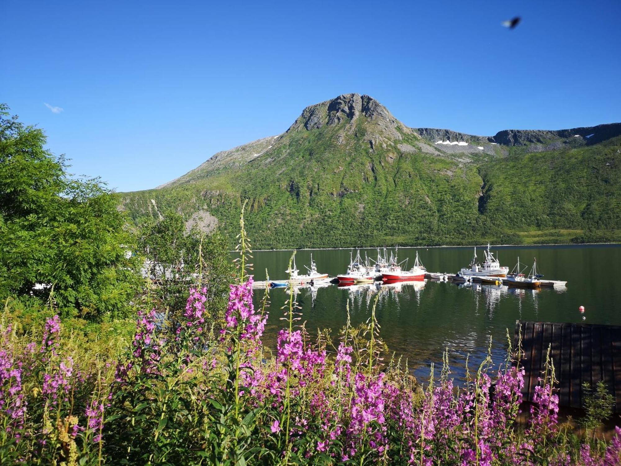 Ferrytale, Cozy, Spacious House On Senja Gryllefjord Esterno foto