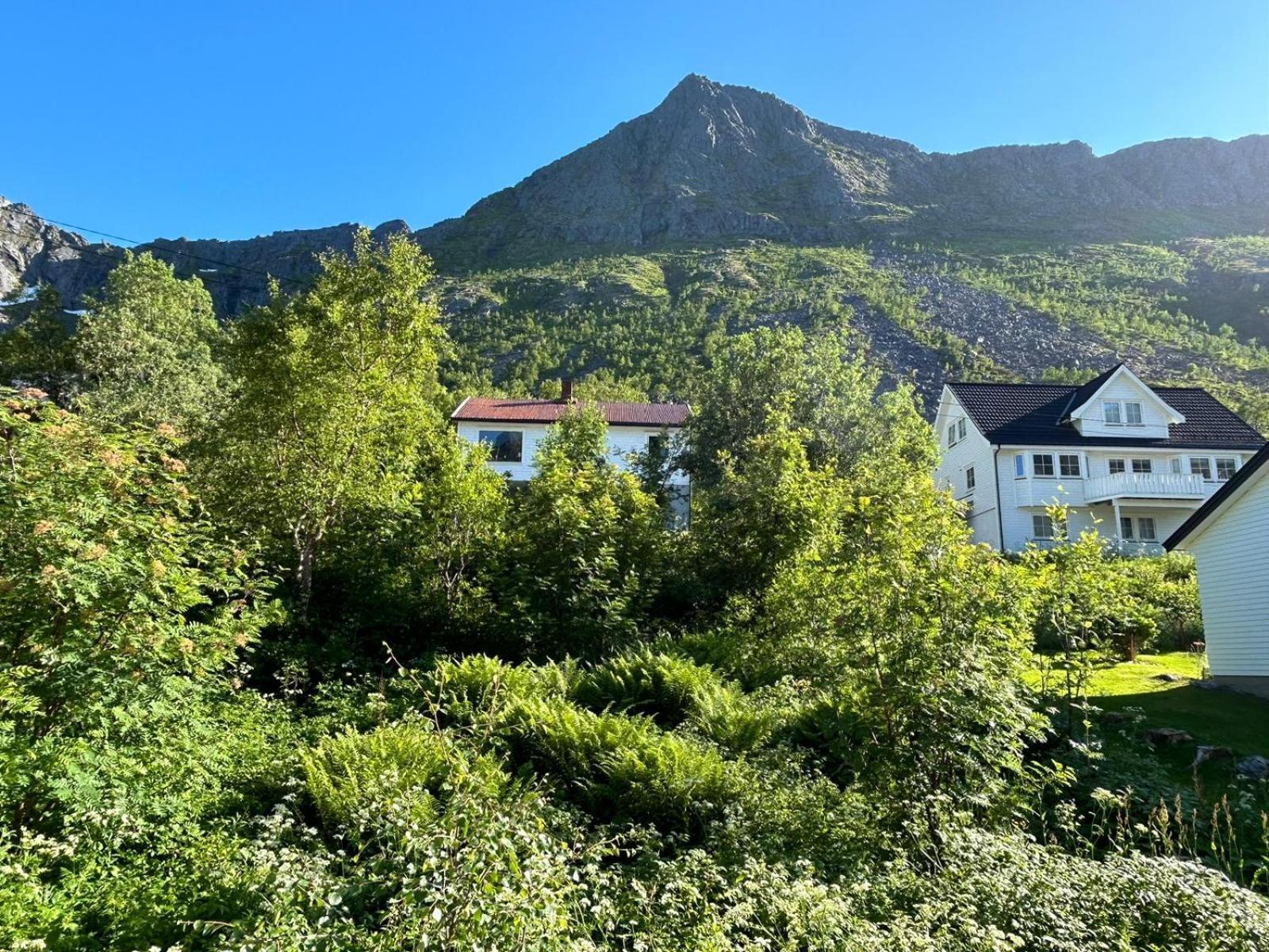 Ferrytale, Cozy, Spacious House On Senja Gryllefjord Esterno foto
