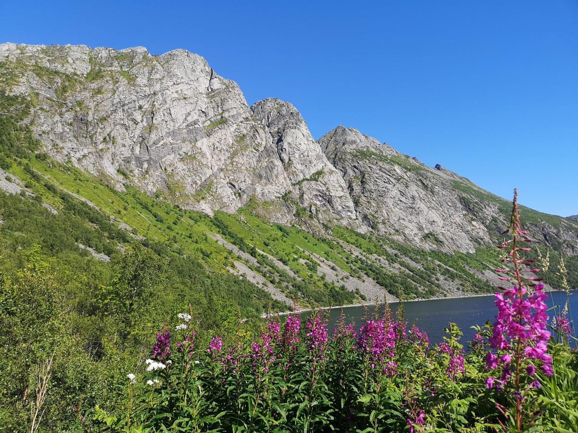 Ferrytale, Cozy, Spacious House On Senja Gryllefjord Esterno foto
